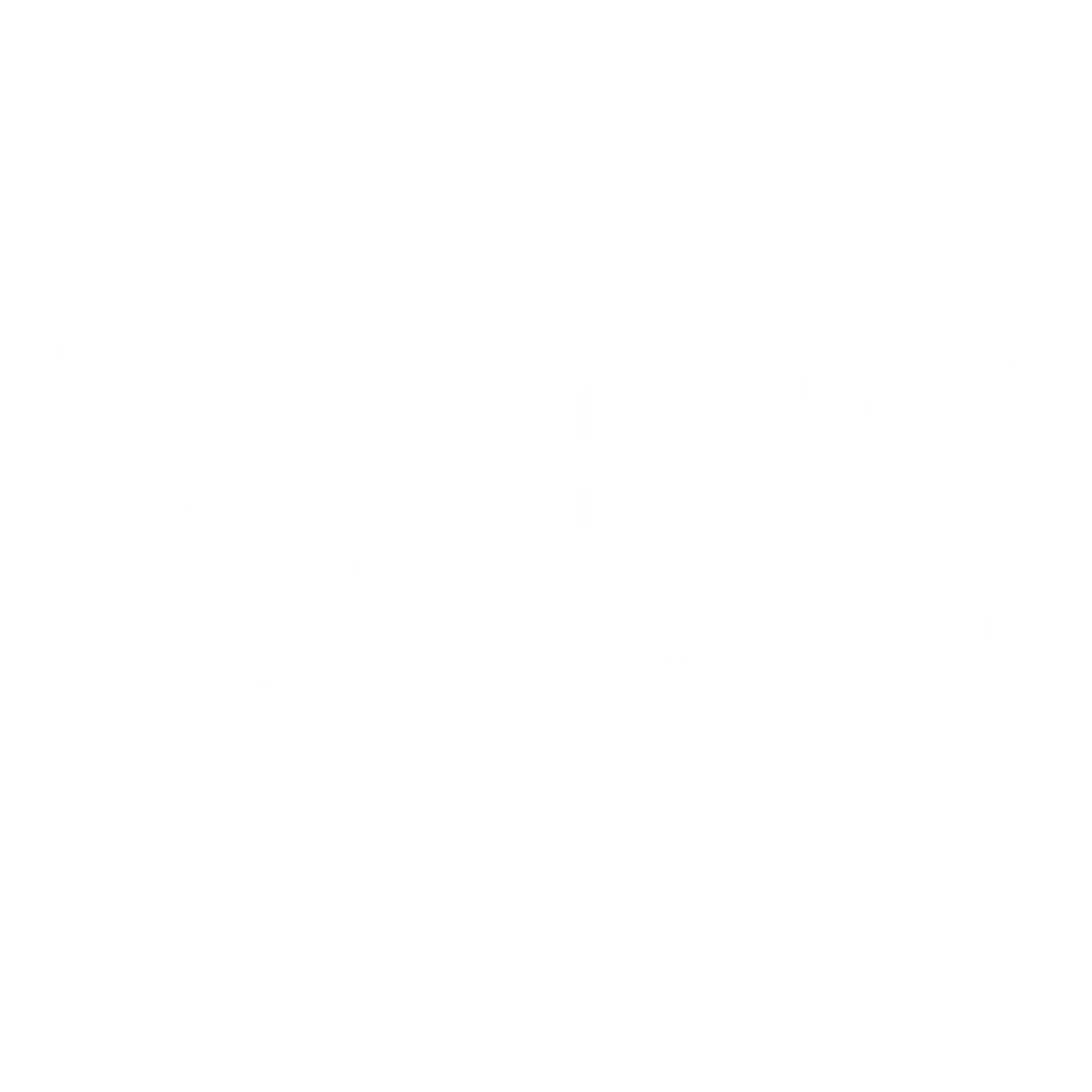 Boss Marketing